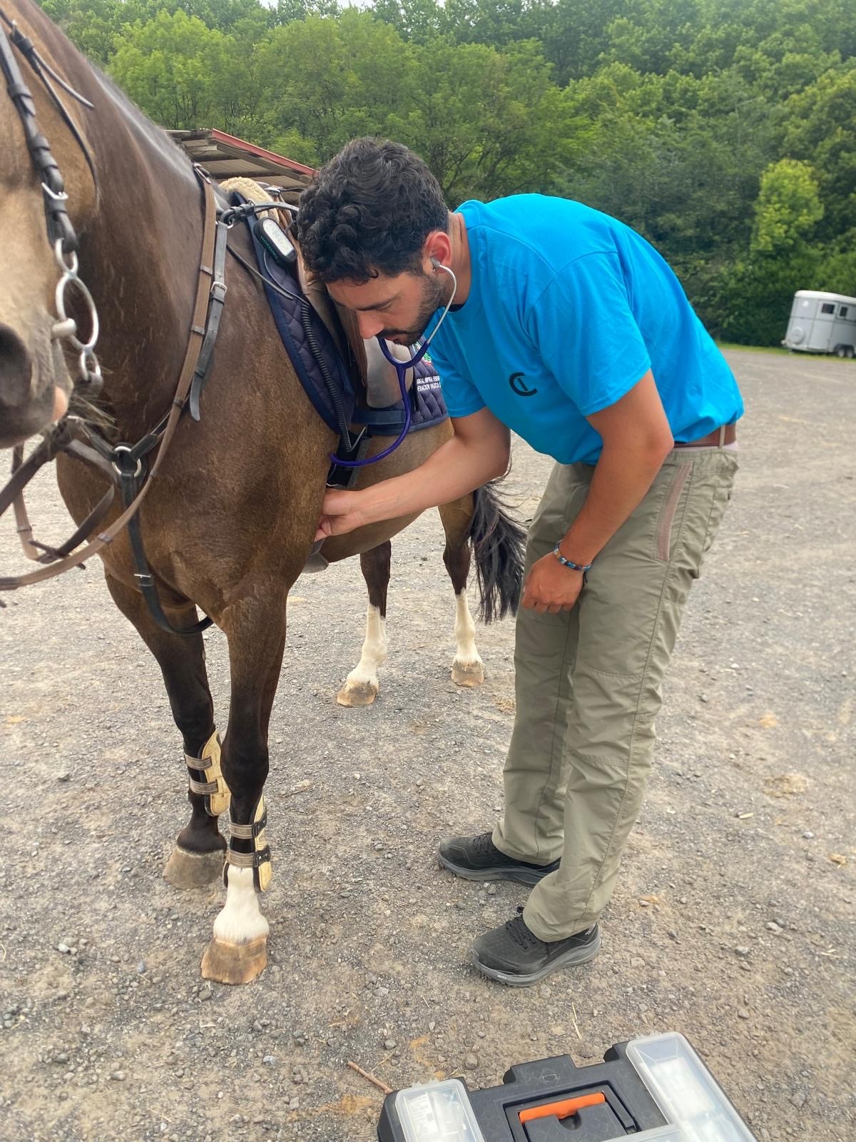 Aritz Saitua evaluando a un caballo de deporte