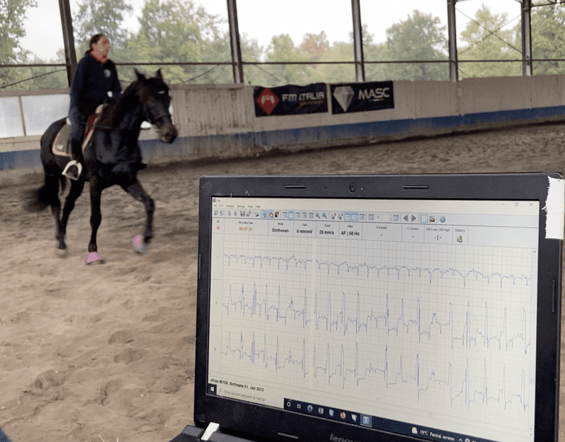 Pantalla de registro durante el ejercicio de un caballo en pista