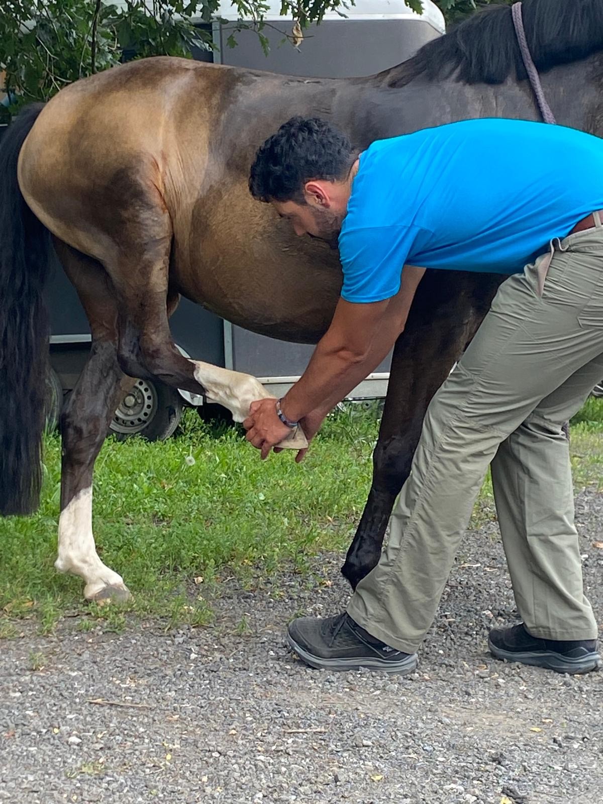 Aritz Saitua trabajando con un caballo en rehabilitación