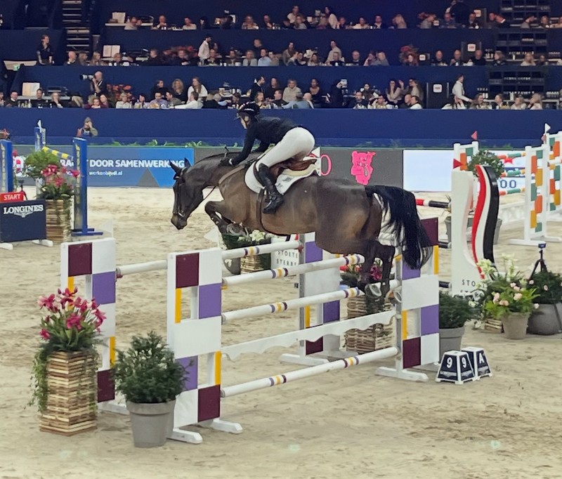 Caballo de deporte durante una prueba de salto