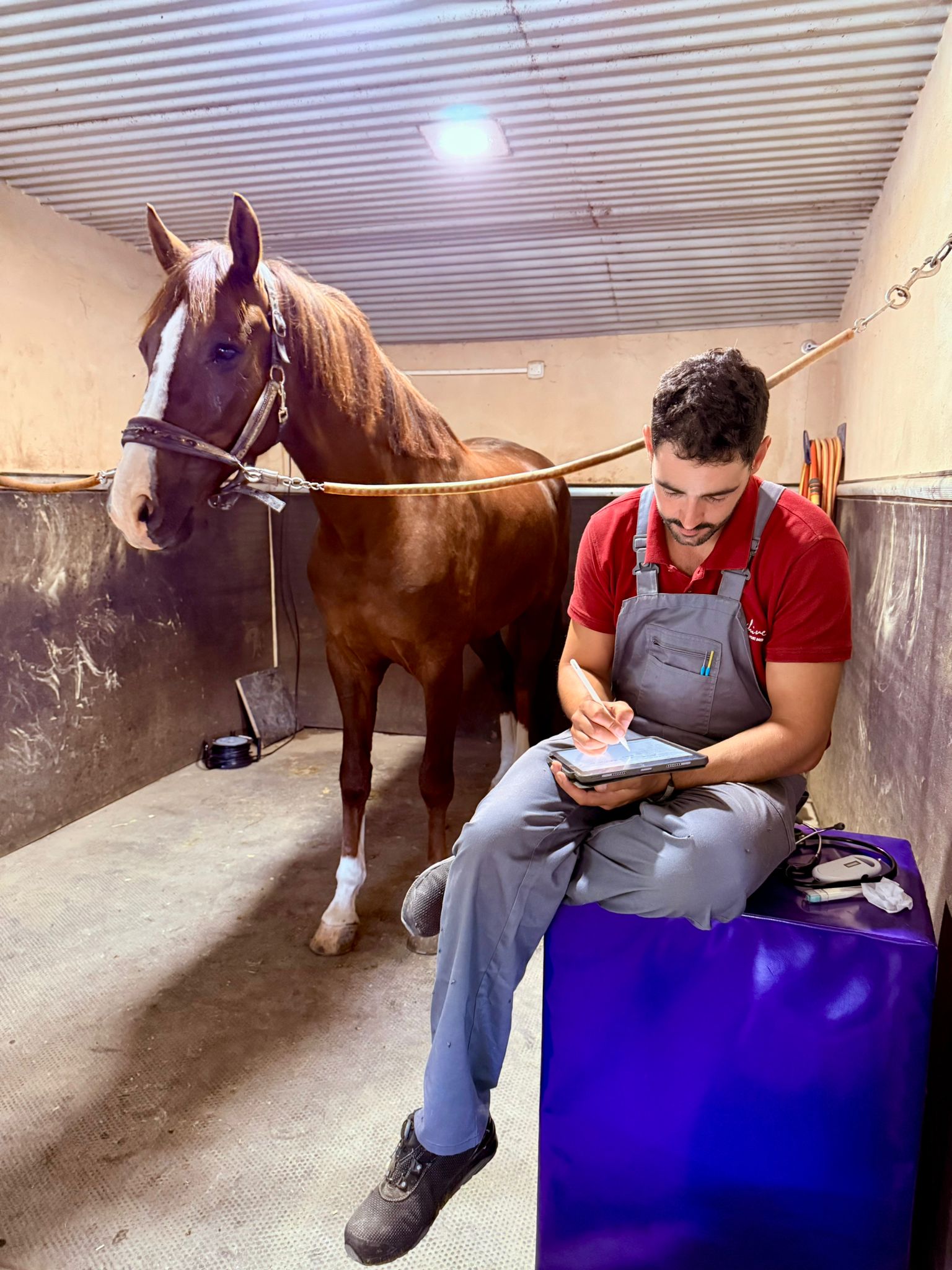 Aritz Saitua registrando el seguimiento de un caballo