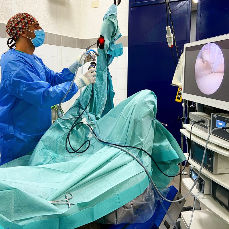 Veterinario trabajando en un entorno quirúrgico equino